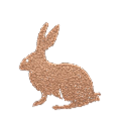 hoppy